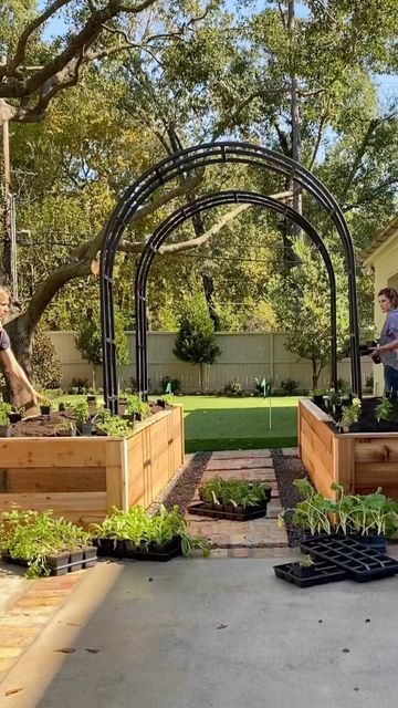 Raised Garden Beds With Arch, Quince Decorations Ideas, Backyard Raised Garden, Garden Arch Trellis, Elevated Gardening, Arch Trellis, Quince Decorations, Side Yards, Winter Survival