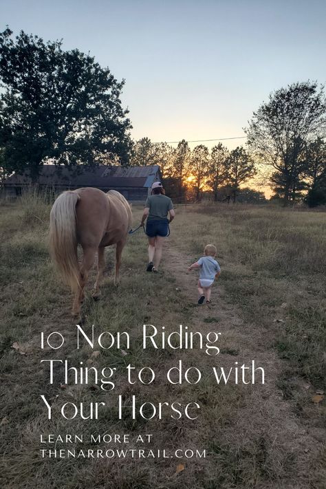 Bonding With Your Horse, Things To Do With Your Horse When You Cant Ride, Long Lining Horse Training, How To Train A Horse To Ride, New Horse Owner Checklist, Bonding With Horse, Fun Things To Do With Horses, How To Ride A Horse For Beginners, Horse Lesson Ideas