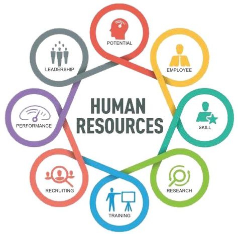 What Is Human, Human Resource Development, Marketing Management, Talent Acquisition, Human Resource, Hr Management, Talent Management, Employee Engagement, Business Administration