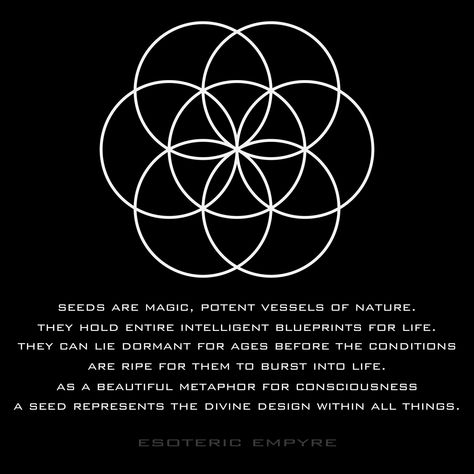 #knowledge #wisdom #esoteric #consciousness #gnosis #truth #motivationalquotes #sacredgeometry Esoteric Quotes, Spiritual Psychology, Rune Tattoo, Sacred Geometry Symbols, Secrets Of The Universe, Line Art Tattoos, Divine Design, Knowledge And Wisdom, Spiritual Wisdom