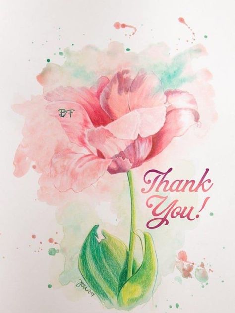 Thank You Quotes Gratitude, Thank You Messages Gratitude, Thanks For Birthday Wishes, Thank You For Birthday Wishes, Thank U Cards, Happy Birthday Flowers Wishes, Thank You Pictures, Thank You Greeting Cards, Thank You Wishes