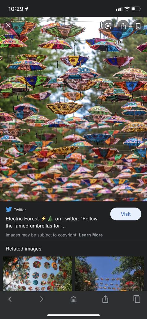 Electric Forest Tattoo, Forest Tattoo, Forest Tattoos, Electric Forest, Wedding 2025, Umbrella, Electricity, Forest, Tattoos