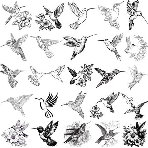 Hummingbird Vector, Hummingbird Clipart, Hummingbird Svg, Birds Silhouette, Birds Png, Vogel Silhouette, Bird Svg, Pottery Lessons, Hummingbird Flowers