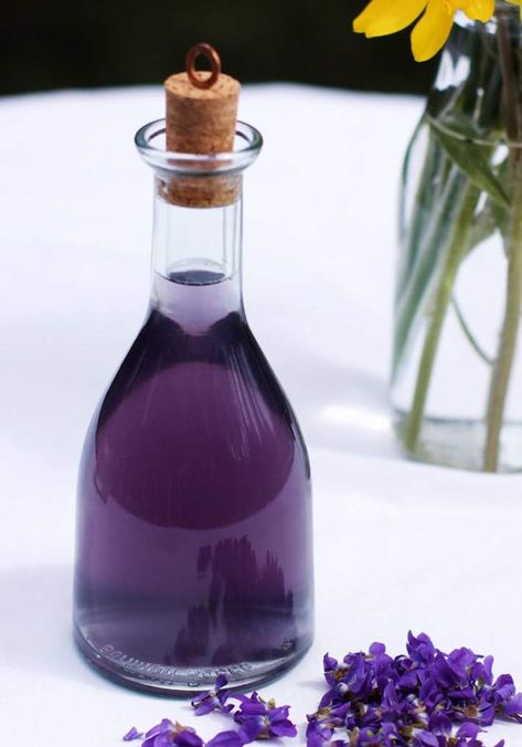 How to Make Violet Syrup & Violet Health Benefits – LearningHerbs Violet Syrup, Herbal Medicine Recipes, Foraged Food, Homemade Syrup, Herbal Recipes, Butterfly Pea Flower, Home Doctor, Pea Flower, Wild Edibles