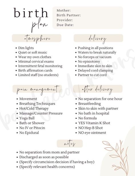 Birthing Plan, Birth Preferences, Birth Plan Checklist, Natural Birthing Plan, Birthing Center, Mom Checklist, Plan Checklist, Birth Plan Template, Canva Etsy