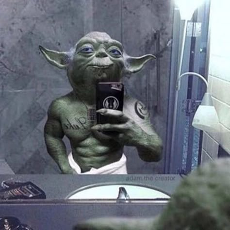 Yoda Meme, Lol Memes, Goofy Pictures, Pinterest Memes, Silly Images, Very Funny Pictures, Funny Profile Pictures, Silly Pictures, Funny Reaction Pictures