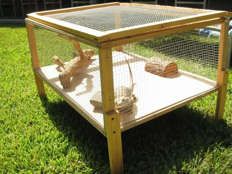 outdoor cage fro bearded dragon. Might make a small one for outside for when I get my dragon. With a few 2x4's and chicken wire it should be good Diy Breaded Dragon Enclosure, Bearded Dragon Playground, Bearded Dragon Play Pen, Outdoor Reptile Enclosure, Beardie Enclosure, Bearded Dragon Enclosure Ideas, Diy Bearded Dragon Enclosure, Dragon Enclosure, Breaded Dragon