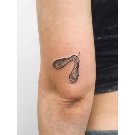 Tiny sycamore seed tattoo above the left elbow Maple Seed Tattoo, Seed Tattoo, Above Elbow Tattoo, Brown Tattoo, Sycamore Seed, Maple Seeds, Bow Tattoo Designs, Related Tattoos, Garter Tattoo