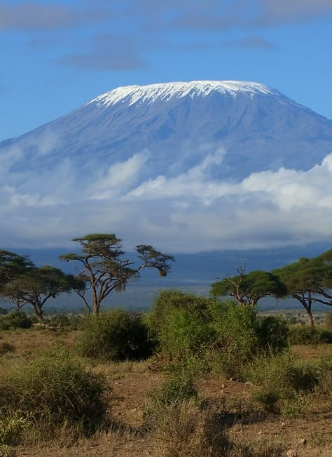 Mount Kilimanjaro Photography, Mount Kilimanjaro Painting, Mt Kilimanjaro Photography, Hiking Kilimanjaro, Kilimanjaro Summit, Mountain Kilimanjaro, Climb Kilimanjaro, Kilimanjaro Mountain, Kilimanjaro Climb