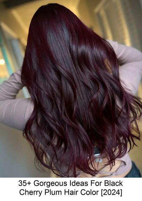 One of the prettiest trends today is the black cherry plum hair color, a dark, vampy, and sultry shade that features a combination of black, burgundy, Cherry Plum Hair, Dark Cherry Hair, Hair Color 2024, Plum Hair Color, Hair Color Plum, Black Red Hair, Cherry Plum, Plum Hair, Red Hair Inspo