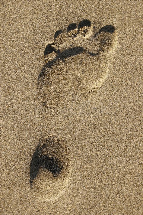 Footprint On Sand, Two Sets Of Footprints In The Sand, Footprints In The Sand Wallpaper, Sand Logo, Footsteps In Sand, Footprint In Sand, Sand Footprint, Feet In Sand On Beach, Sand Drawing