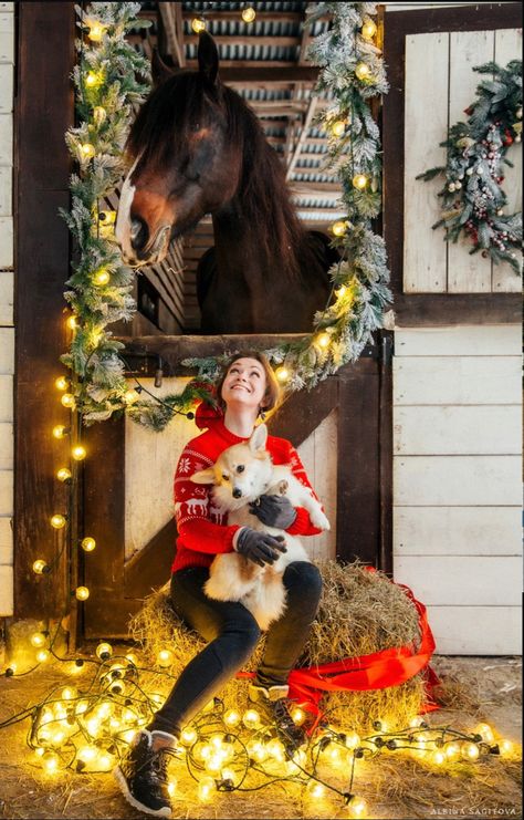 Christmas Cards Photography, Western Photoshoot, Cow Photos, Cute Horse Pictures, Equine Portraits, Christmas Horses, Santa Pictures, Christmas Farm, Mini Horse