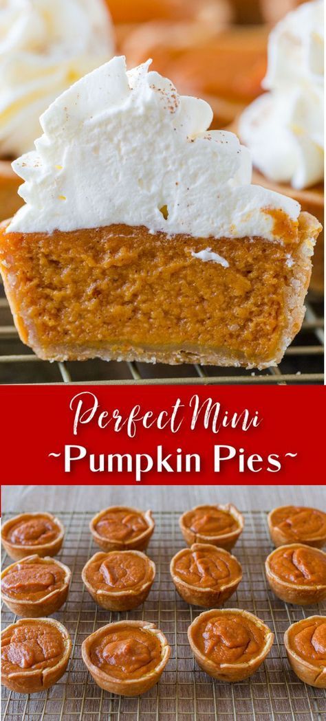 Individual Pumpkin Pie Recipe, Individual Pie Recipes, Mini Pumpkin Pie Cheesecake, Pumpkin Pie Crust Recipe, Pumpkin Tarts Recipe, Individual Pumpkin Pie, Mini Pumpkin Pies Recipe, Pumpkin Pie Crust, Pumpkin Tarts