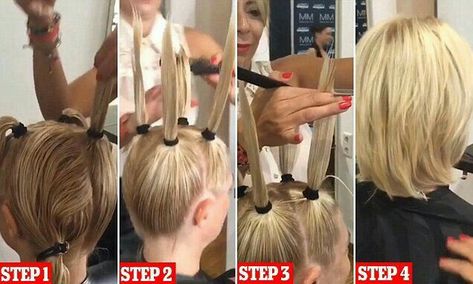 Diy Hair Trim, Ponytail Haircut, Trim Your Own Hair, Cut Own Hair, Logic Design, Easy Hair Cuts, How To Cut Your Own Hair, Diy Haircut, Hair Trim