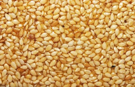 Sesame seeds in sesame oil. Texture of sesame seeds in sesame oil , #sponsored, #seeds, #Sesame, #sesame, #Texture, #oil #ad Popcorn Plant, Plants That Like Shade, Broccoli And Brussel Sprouts, Popcorn Seeds, Gold Vault, Oil Texture, Perfect Popcorn, Corn Seed, Sprouting Seeds