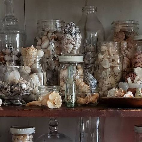 🧜🏼‍♀️🐚😂🐙🍞🧢📚~April Lentkowski☕🍯🏈🎨☀️🧳🕺 on Instagram: "🧜🏼‍♀️🐚A Mermaids Snack Cabinet 🐚🧜🏼‍♀️ This cabinet is always undergoing change. Rearranging. From one shelf to another. Adding recent finds. Swapping overfilled smaller jars to larger jars. Swapping out favorites of yesterday with favorites today. And then there's dusting... nothing ever gets put back where it was, not in the exact place. As long as they all are in their seperated jars, and kept organized that way... I'm pret Seashell Organization, Shell Jar, Snack Cabinet, Mermaid Cottage, Shell Storage, Seaside Decor, Large Jar, Small Jars, Holiday Cheer