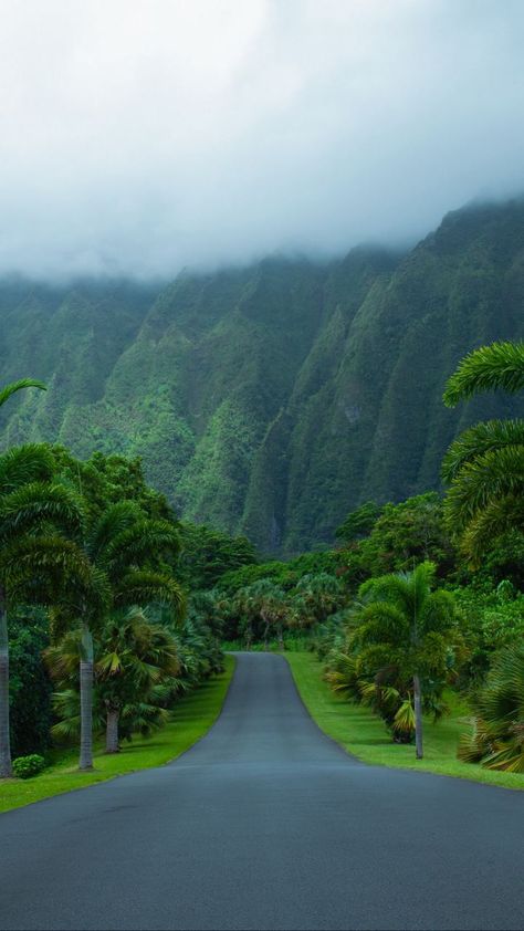 Path Way, Amazing Hd Wallpapers, Paradise Wallpaper, Asphalt Road, Best Nature Wallpapers, Nature Wallpapers, Majestic Mountains, Island Vibes, Paradise Island