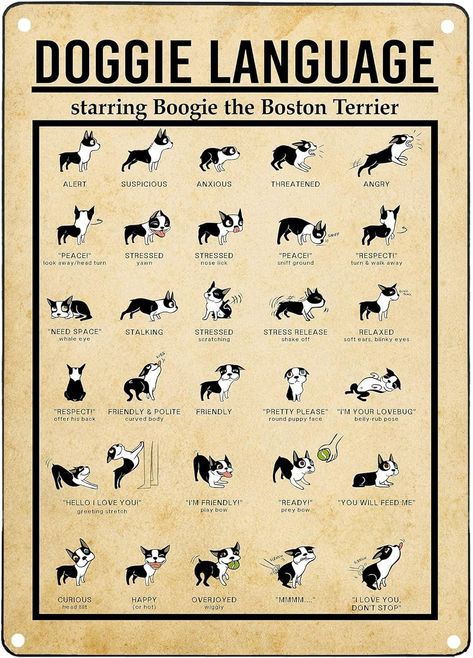 Amazon.com: JIUFOTK Doggie Language Infographic Metal Sign Know Your Dog Posters Knowledge Plaque Wall Decor For Home Club Room Pet Shop 12x16 Inches: Posters & Prints Language Infographic, Dog Posters, Dog Infographic, Infographic Poster, Man Cave Home Bar, Dog Facts, Puppy Face, Dog Poster, Club Room