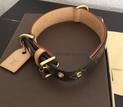 Dog Collar Aesthetic, Louis Vuitton Dog Collar, Collar Aesthetic, Fred Mercury, Pet Things, Fancy Dog, Dog Brain, Dog Vest, Fame Dr