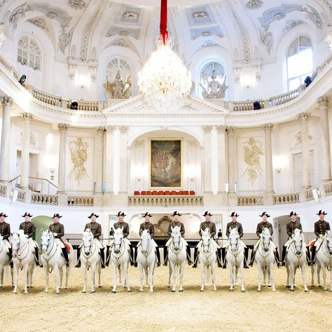 Spanish Riding School Vienna, Vienna Austria Travel, Horse Riding School, Country Western Outfits, Spanish Riding School, Riding School, Beautiful Horse Pictures, Austria Travel, European Vacation