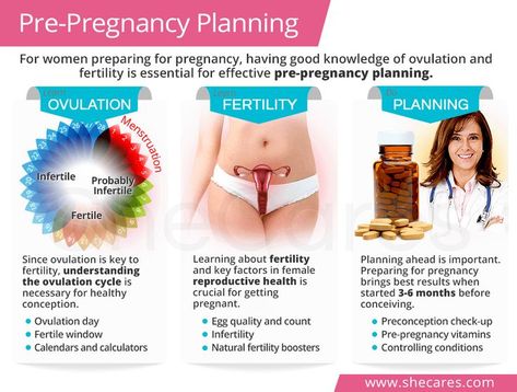 This preconception guide will help women learn what they need to know before getting pregnant to maximize their chances of a healthy conception. Click the picture to learn more! What To Know Before Getting Pregnant, Pre Conception Planning, Conception Tips, Obstetrics Nursing, Preconception Health, Before Getting Pregnant, Preconception Planning, Preparing For Pregnancy, Prepare For Pregnancy