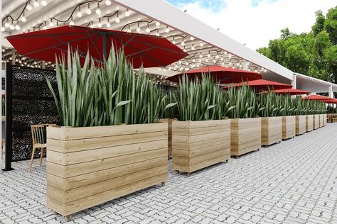 Sol 72 Outdoor™ Chipps Wood Planter Box Set | Wayfair Hedge Wall, Privacy Planter, Stain Wood, Wood Planter, Wood Planter Box, Wood Planters, Planter Box, Outdoor Grill, Garden Cottage