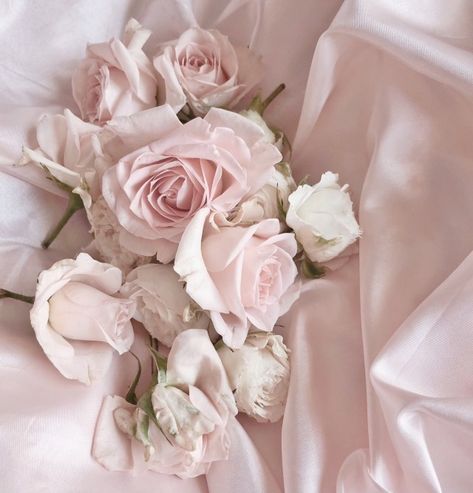 #flower #flowers #bouquet #flor #flores Petals Aesthetic, Rose Aesthetic, Soft Pink Theme, Love Roses, Baby Pink Aesthetic, Rosé Aesthetic, Pink Aura, Light Pink Rose, Roses Are Red