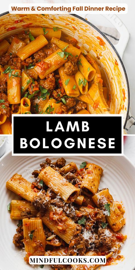 Enjoy my delicious and hearty Lamb Bolognese, this classic Italian pasta dish is sure to satisfy everyone! With succulent lamb, a rich tomato sauce and flavorful herbs, this comforting meal is perfect for weeknight dinners. This warm and comforting dish also makes the perfect fall or winter dinner recipe. #lambbolognese #pastadish #italianfood #comfortfood #fallrecipes Ground Lamb Bolognese, Lamb Bolognese Sauce, Lamb Pasta Sauce, Lamb Meals Dinners, Easy Ground Lamb Recipes, Lamb Bolognese Recipes, Ground Lamb Pasta, Lamb Pasta Recipes, Ground Lamb Pasta Recipes