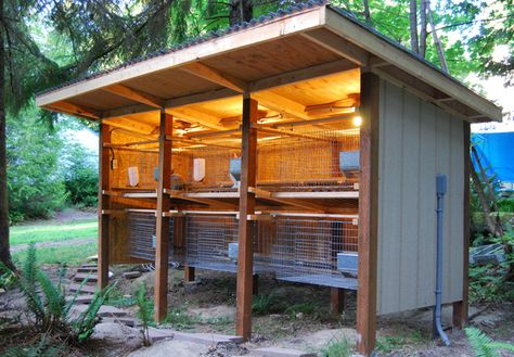 Reban Ayam, Rabbit Hutch Plans, Raising Rabbits For Meat, Diy Rabbit Hutch, Outdoor Rabbit Hutch, Rabbit Farm, Meat Rabbits, Bunny Hutch, Raising Rabbits