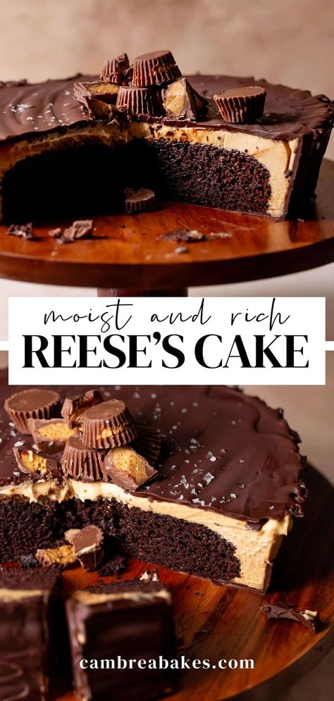 This giant Reese's cake features moist chocolate cake, creamy peanut butter filling, and a crunchy chocolate ganache shell. It's basically a giant Reese's peanut butter cup in cake form! Peanut Butter Cups Cake, Reese's Birthday Cake, Reece’s Birthday Cake, Reese’s Cupcake Recipe, Reeces Cake Birthday Easy, Reese's Peanut Butter Cake, Recees Peanut Butter Cake, Peanut Butter Reese’s Cake, Reeses Birthday Cake