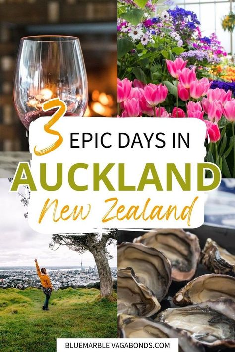 Planning a trip to Auckland, New Zealand? This 3-day Auckland itinerary covers the best things to do in Auckland, from exploring iconic landmarks to enjoying local food spots. Discover the must-see attractions in New Zealand's North Island biggest city, and get tips for making the most of your Auckland visit. Perfect for first-time visitors looking for a detailed Auckland travel guide and wanting to experience the best of Auckland in just a few days! Things To Do In Auckland, Auckland Travel, Green Mussels, Waiheke Island, New Zealand North, Oceania Travel, Food Spot, Victoria Park, Auckland New Zealand