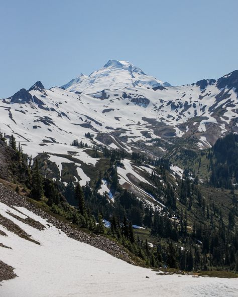 snow in july 🤍 this is my new favourite way to escape the heat wave we’ve been experiencing in bc, even if it means i have to drag 25lbs of sprouty because she needs to roll in the snow every 3 feet. Washington | Mount Baker | National Forest | Mountains | Summer Bc Forest, Mount Baker, Mountain Summer, Mt Baker, Nature Vibes, Forest Mountain, National Forest, My Vibe, The Snow