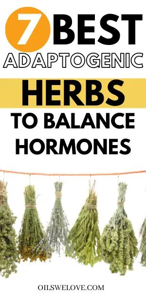 7 Adaptogenic Herbs for Hormone Balance | Oils we love Estrogen Hormone, Low Estrogen Symptoms, Healing Tea, Low Estrogen, Cold Sores Remedies, Estrogen Dominance, Adaptogenic Herbs, Hormone Balance, Herbs For Health