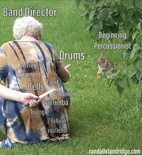 Band Memes Drums, Band Memes Tuba, Musician Jokes Music Humor, Band Memes Funny Percussion, Singer Humor, Band Memes Funny So True, Percussion Jokes, Marching Band Wallpaper, Band Kids Humor