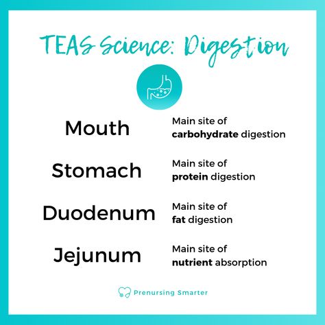 Teas Exam Study Guides, Teas Test Prep, Teas Exam, Science Flashcards, Nursing Tea, Teas 7, Teas Test, Nursing Study Tips, Nursing Study Guide