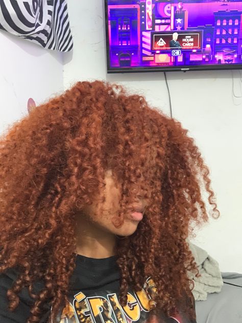 Light Copper Curly Hair, Ginger Afro Black Women, Copper Curly Hair Black Women, Auburn Curly Hair Black Women, Ginger Curly Hair Black Women, Copper Brown Curly Hair, Afro Shapes, Curly Hair Black Women, Ginger Curly Hair