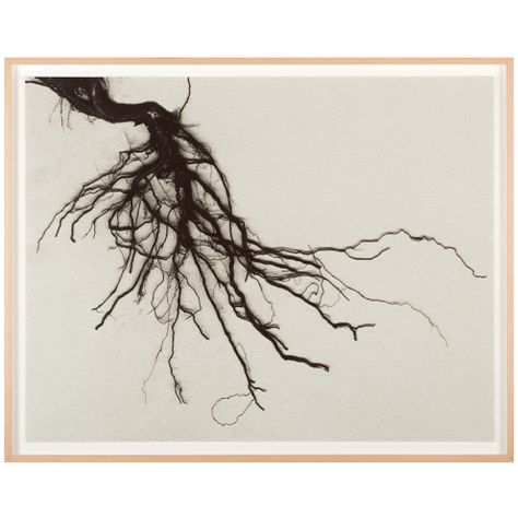 Paint a series on roots Mustard Seed Plant, Hole Drawing, Growing Vines, New Victorian, Mother Board, Dark Tree, Healing Garden, Visual Notes, Inspiration Tattoo