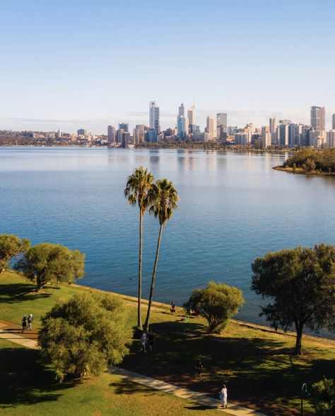 Take in the best views of Perth's skyline from South Perth's foreshore. 📷 : IG/@Skyperth Australia Scenery, Days Till Spring, Study Abroad Australia, Oceania Travel, City Skylines, Perth Australia, Dream Place, Production Design, City Architecture