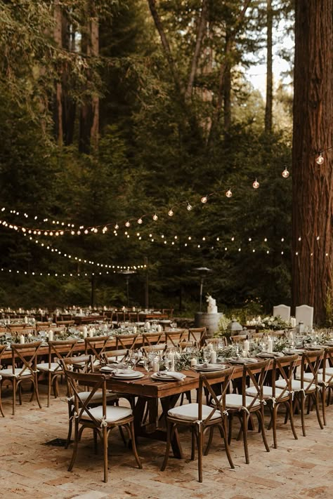 Natural Wedding Reception, Forest Wedding Dinner, Redwoods Wedding California, Yosemite Wedding Reception, Forest Wedding Reception Decor, Small Forest Wedding Reception, Campground Wedding Reception, Campground Wedding Ideas, Outdoorsy Wedding Ideas