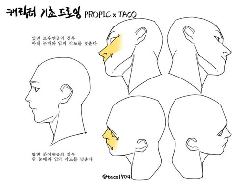 Tilted Side Profile Reference, Head Tilted To The Side, Profile Drawing, Anatomy Tutorial, Human Anatomy Drawing, Drawing Heads, Human Anatomy Art, Anatomy Sketches, 캐릭터 드로잉