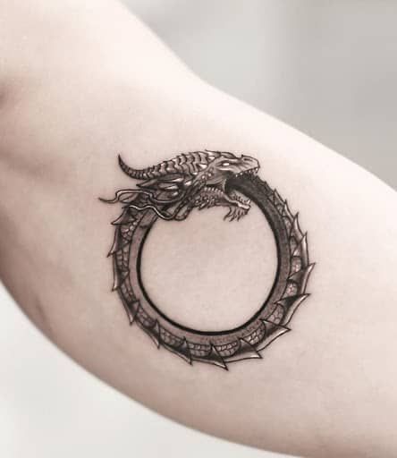 Circle Tattoo Ideas, Circle Tattoo Meaning, Dragon Tattoo Images, Epic Dragon, Circle Tattoos, Circle Tattoo, Dragon Tattoos, Arm Circles, Snake Lovers