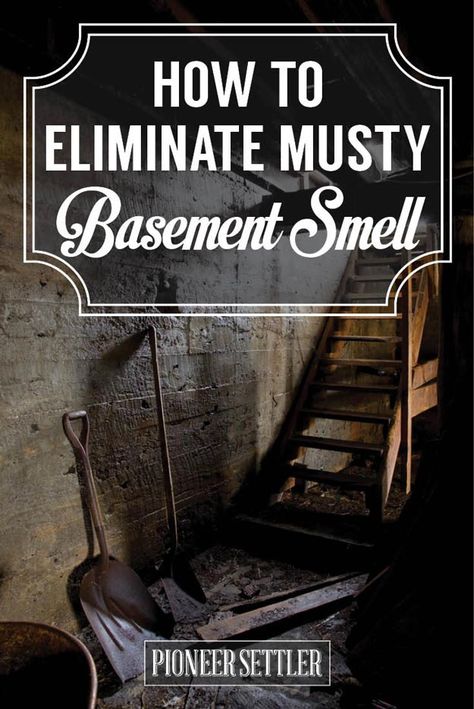 Basement Odor Eliminator, Musty Smell In House, Basement Odor, Basement Repair, Wet Basement, Basement Laundry, Root Cellar, Basement Storage, Basement Apartment