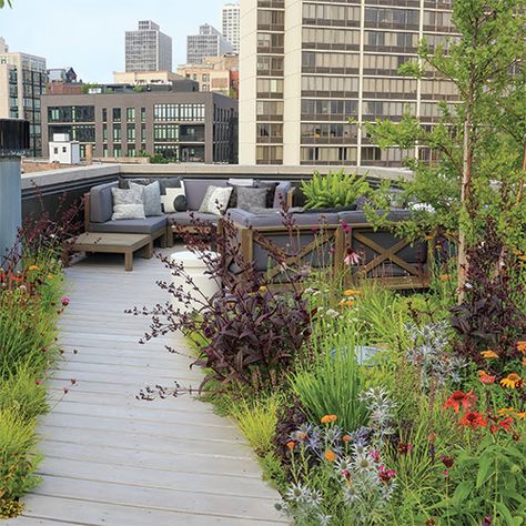 Each morning my partner, Steve, and I head up to our rooftop to greet the bees as they begin their days’ work. After all, time is honey. While I sometimes […] The post An Urban Rooftop Garden for Pollinators appeared first on FineGardening. Roof Garden Ideas, Rooftop Garden Urban, Kate Hall, Urban Rooftop, Urban Garden Design, Roof Garden Design, Urban Landscape Design, London Garden, Pergola Plans