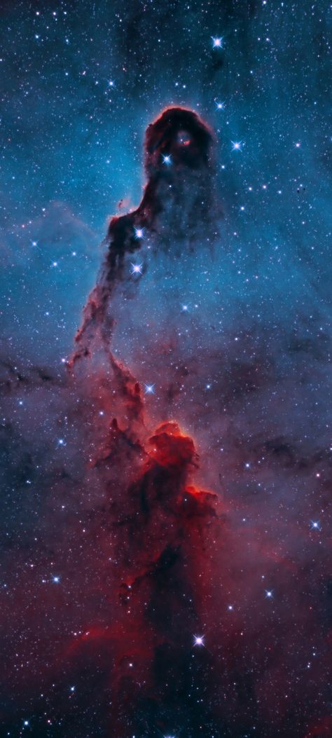 IC-1396 VdB-142 the Elephant Trunk Nebula by rallyho cropped mobile wallpaper 1080x2400 Nebula Wallpaper Iphone, Nebula Wallpaper, Beautiful Universe, Space Iphone Wallpaper, Nebulas, Elephant Trunk, Carl Sagan, Out Of This World, Space Art