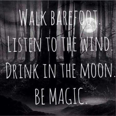 Walk Barefoot. Listen to the Wind. Drink in the Moon. Be Magic...... I love this so much. I am unsure who the credit to this one should go to. If you happen to know, please let me know so I can. #moonlove #moonlover #moonlovers #moonquote #moonquotes #magickal #magicquote #magicalquote #fantasy #witchyquotes #witchquotes #poetry #nightpoetry #gothstyle #darkstyle #emojewelry #gothjewelry #boholife #bohochicjewelry #bohogirl #freespirit #boholifestyle Snow Wolf, Moon Quotes, Under Your Spell, Earth Goddess, Wild Girl, Wild Apple, In The Moon, Life Quotes Love, Bohol