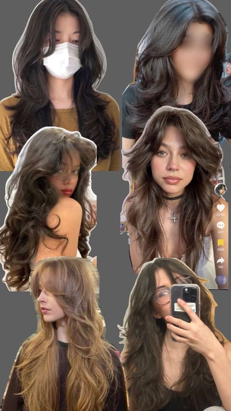 Wavy Wolf Cut Long Hair, Butterfly Haircut In A Ponytail, Hush Cut Vs Wolf Cut, Butterfly Vs Wolf Cut, Long Wolf Cut Wavy Hair, Wolf Cut Long Vs Butterfly Cut, Wolf Cut Unstyled, Wolf Cut Wavy Hair, Long Hair Wolfcut