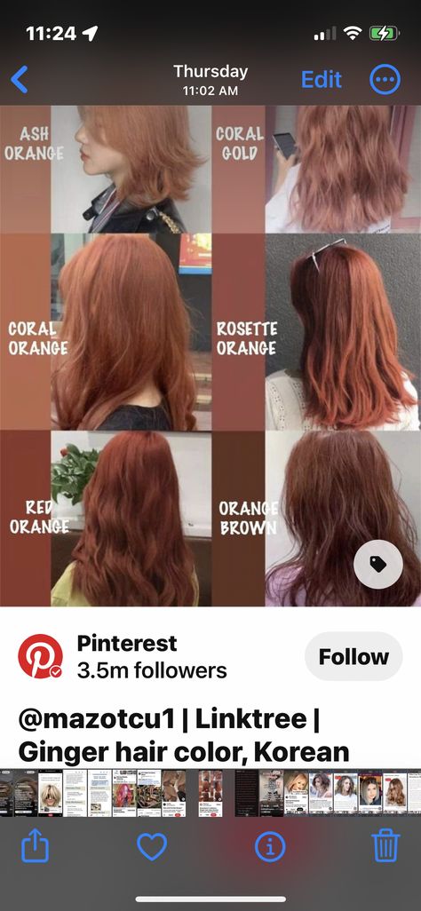 Dark Orange Hair Dye, Coral Brown Hair, Dark Coral Hair, Rosette Orange Hair, Coral Orange Hair, Brown Hair Korean, Dark Orange Hair, Orange Brown Hair, Burnt Orange Hair