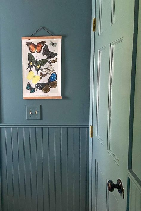 This mudroom and laundry room had a makeover! Check out the details on the blog.   Aegean Teal by Benjamin Moore. Butterfly print by Lindsay Letters Company. Painted doors. Painted trim. Teal Trim Interior, Bm Aegean Teal, Dark Teal Laundry Room, Aegean Teal Bathroom, Teal Mudroom, Agean Teal Benjamin Moore, Benjamin Moore Dragonfly, Teal Entryway, Aegean Teal Benjamin Moore