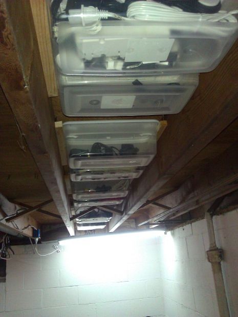 Super Simple Basement Storage Rafter Storage, Basement Organization, Basement Playroom, Ceiling Storage, Basement Storage, Waterproofing Basement, Overhead Storage, Small Basements, Basement Makeover