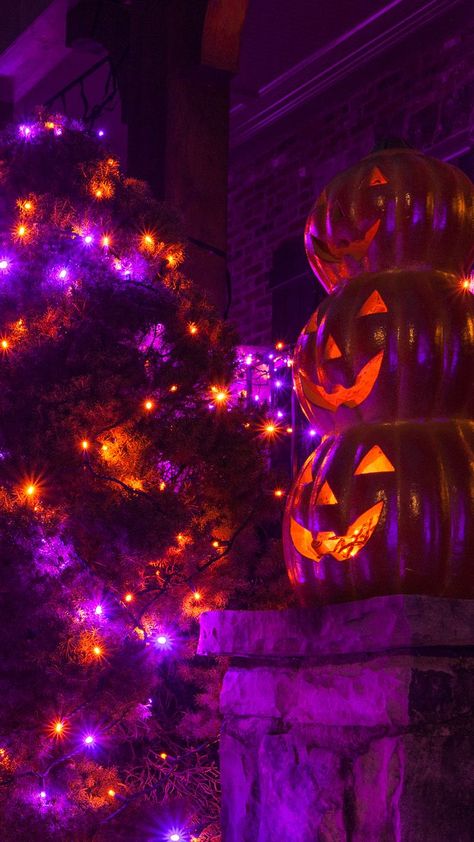 orange & purple halloween lights & pumpkin decorations Purple And Orange Halloween Decorations, Purple Orange Halloween Decor, Orange And Purple Lights Halloween, Halloween Colors Aesthetic, Halloween Aesthetic Purple Orange, Purple Green Orange Halloween Decor, Halloween Purple Lights, Halloween Lights Aesthetic, Green And Purple Halloween Aesthetic